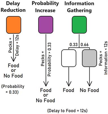 Hungry pigeons prefer sooner rare food over later likely food or faster information